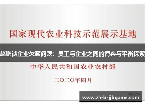 赵鹏谈企业欠薪问题：员工与企业之间的博弈与平衡探索