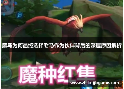 魔鸟为何最终选择老马作为伙伴背后的深层原因解析